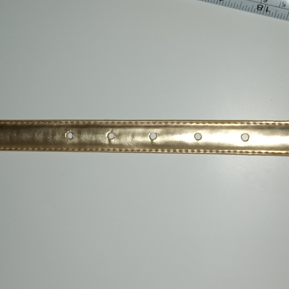 Brand new Express belt - Picture 7 of 8